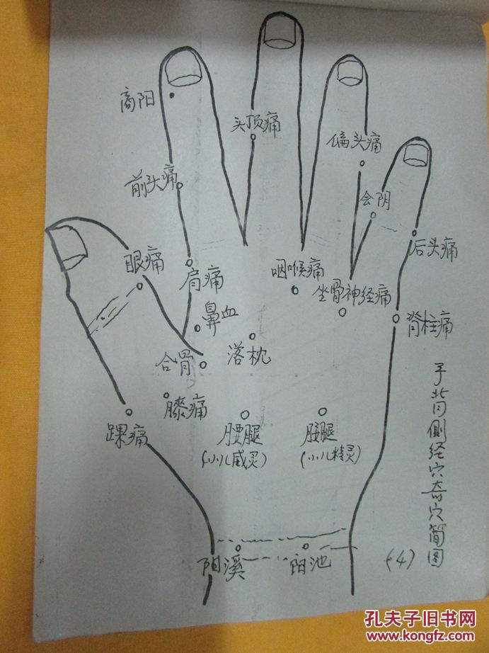 手掌,手背,足底,足背等全息示意图(14页 像是复印的)