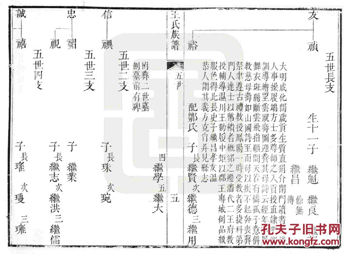 家谱----王氏族谱 【具体见品相描述】 山东黄县 传公