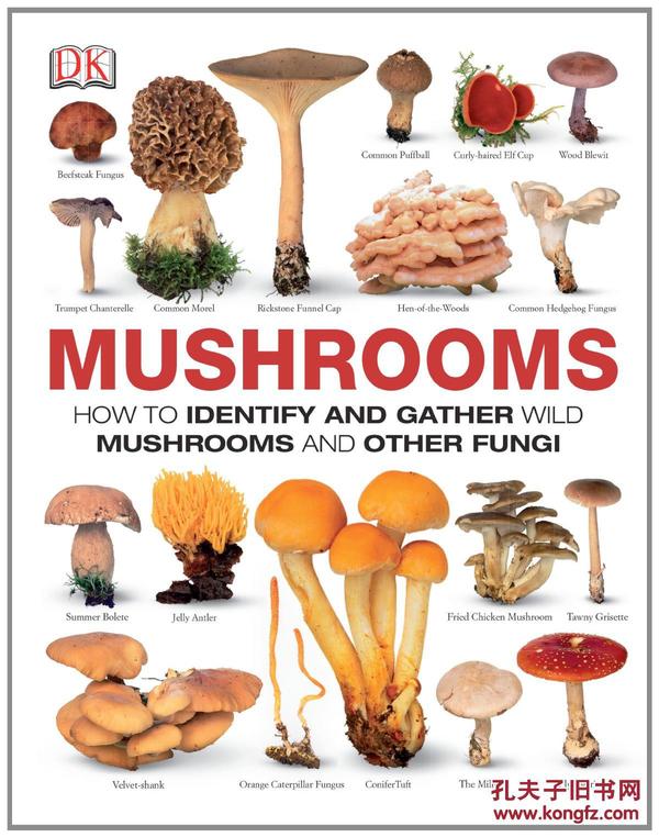 英文原版 mushrooms 蘑菇  百科 图册 手册 指南 dk