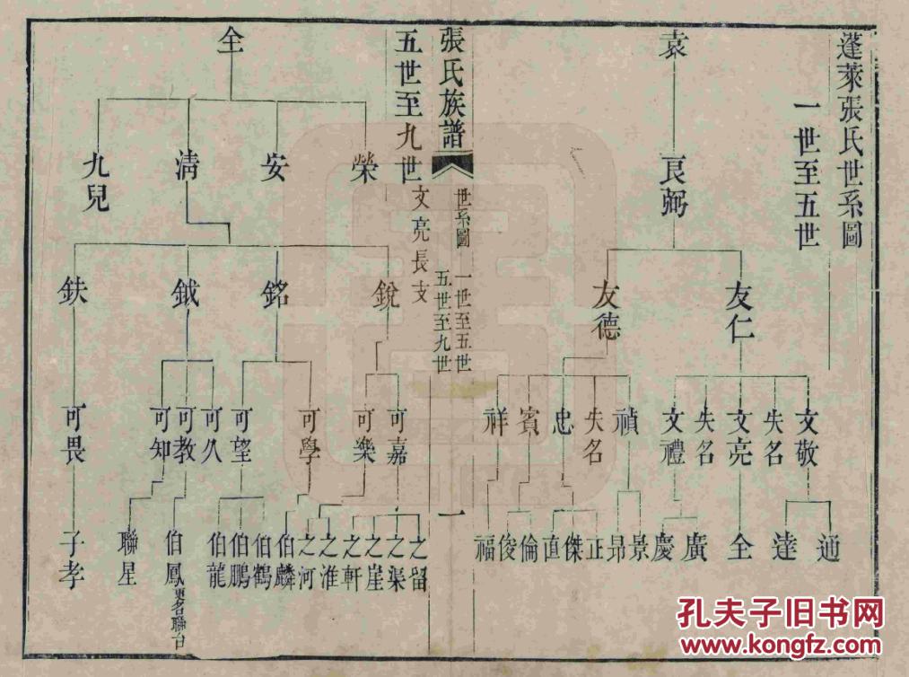 儿子家字辈,有知道家谱的吗?