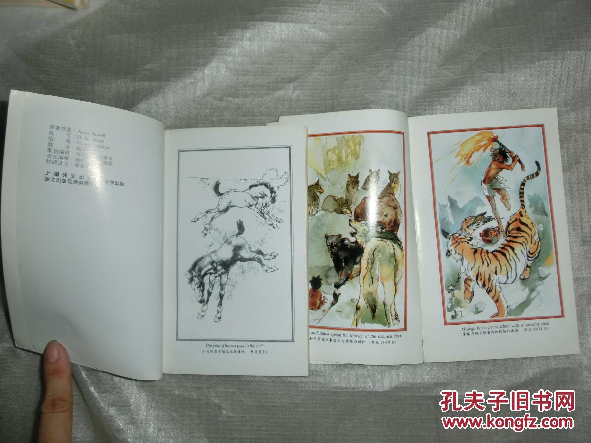 【图】简写笨丛林故事.黑美人【中英文版.有插