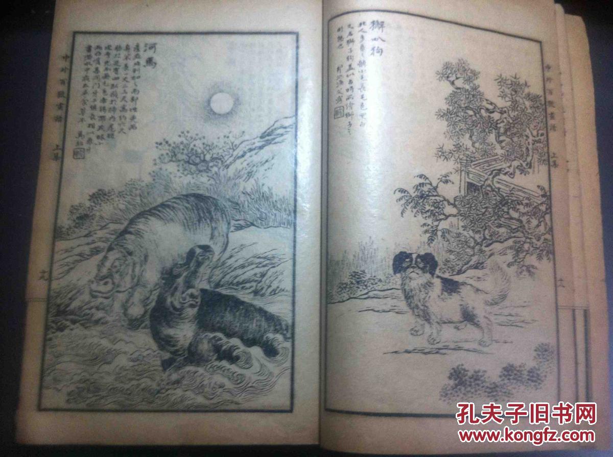 民国线装石印画谱 :马骀画宝之一《中外百兽画谱》 上下2册全!