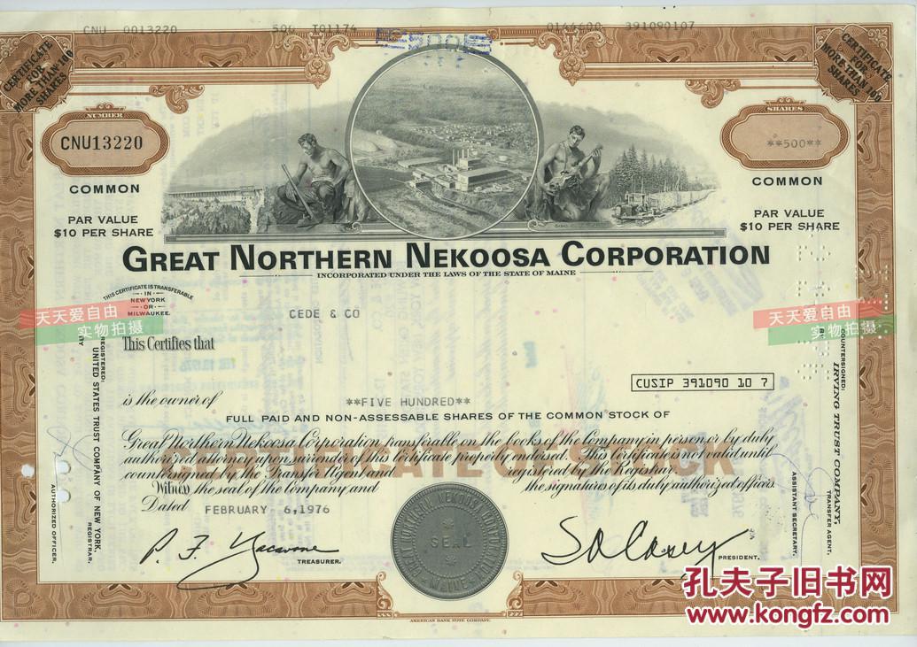 1976年美国著名造纸纸张企业大北方耐克萨公司股票500股 雕刻版钱币级别精印
