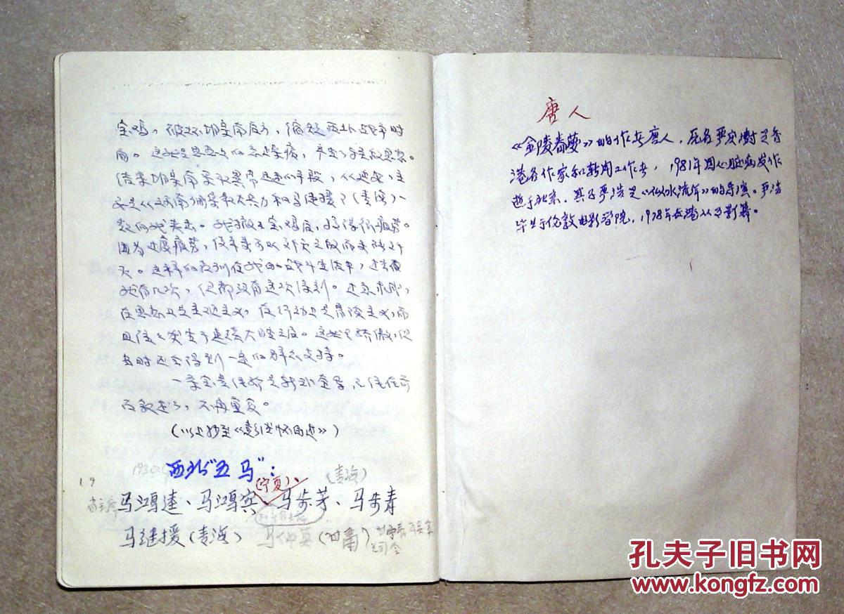 J200266 民国历史笔记本写80页左右:袁文才 王