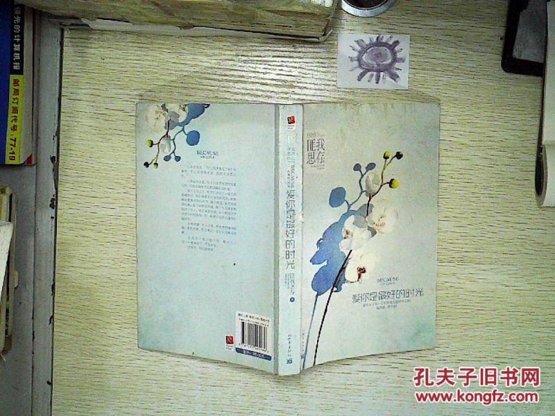 爱你是最好的时光._匪我思存著