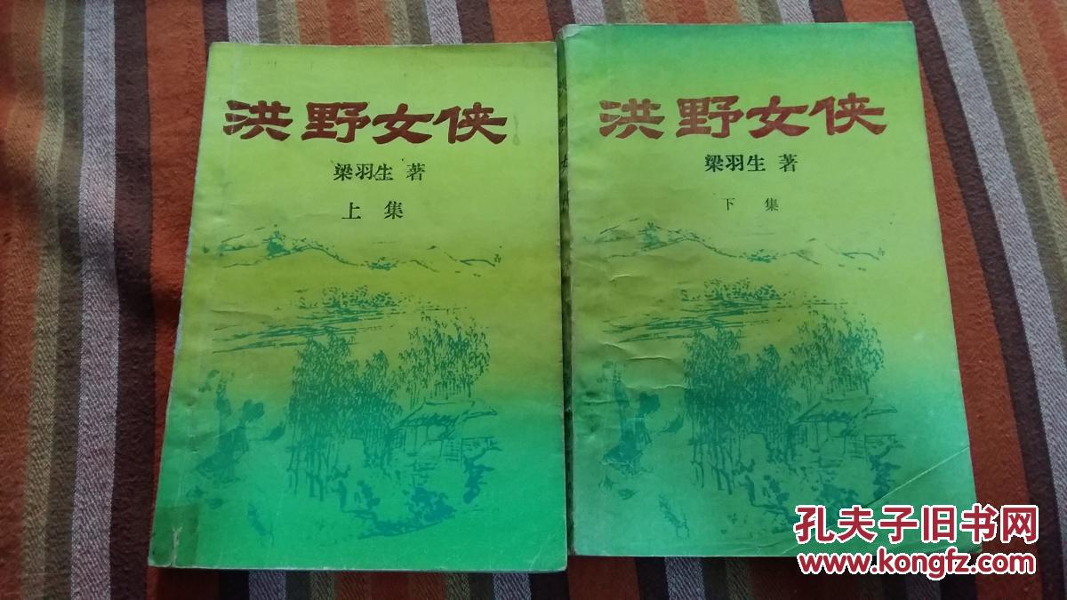 洪野女侠【上下 老武侠