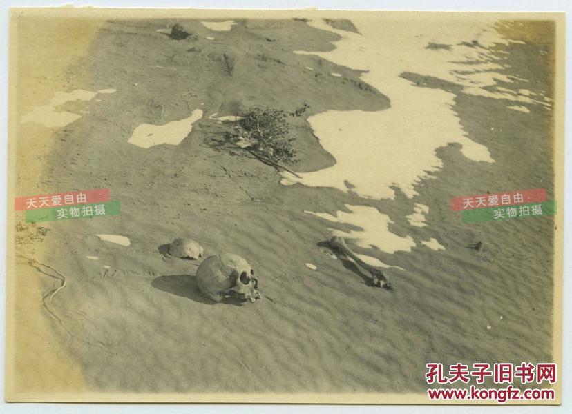 民国蒙古地方人口_民国 古旧地图