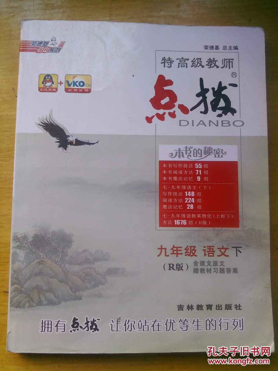荣德基初中系列 特高级教师点拨 九年级语文(下