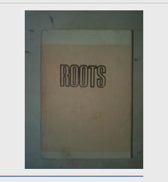 原文版美国著名小说:ROOT (根)