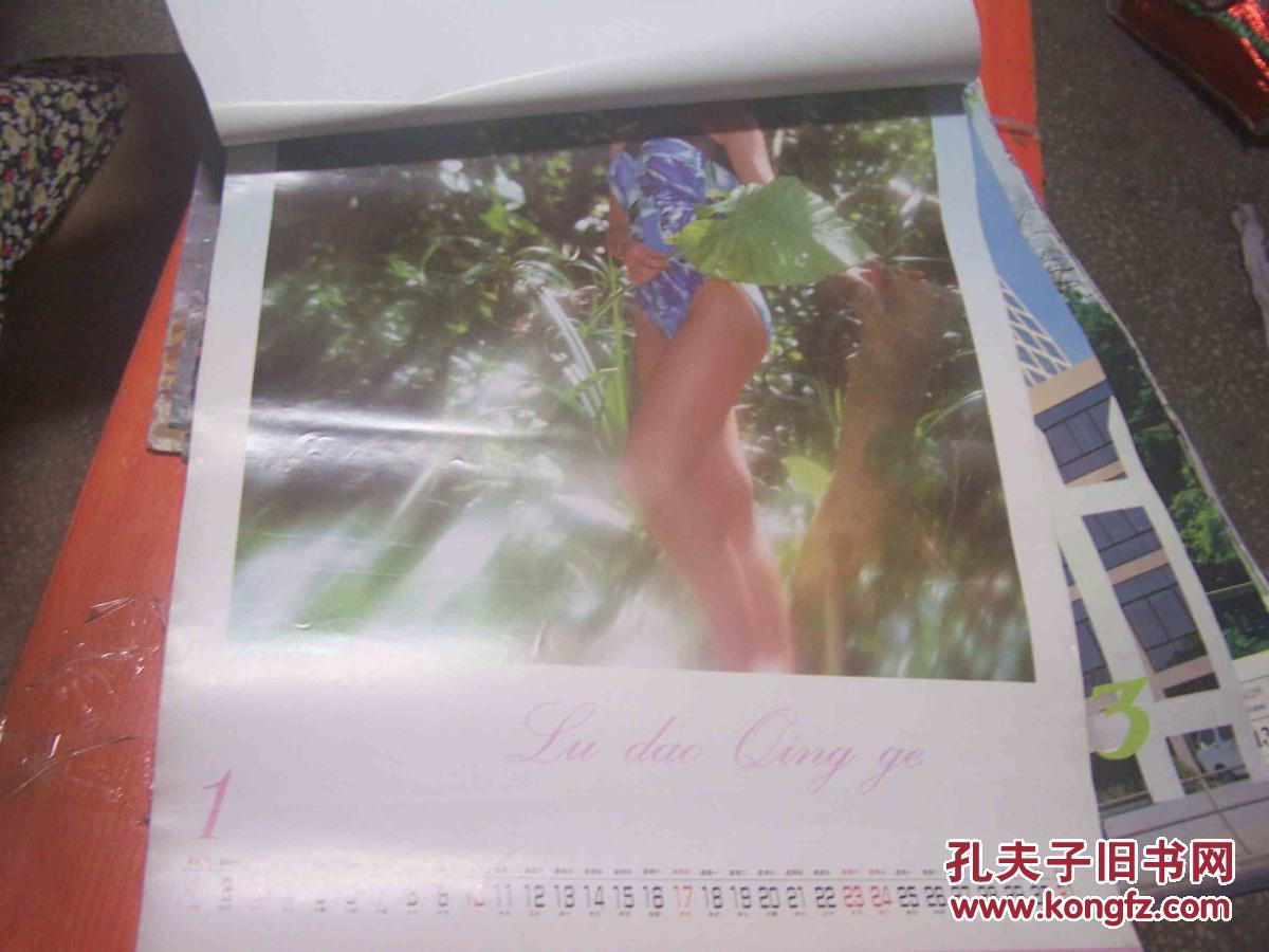 1993年挂历泳装美女