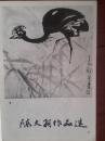 美术插页（单张）陈大羽国画《秋》《公鸡》