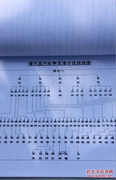 潘氏家谱(宜兴屺qi亭支谱)(新编潘氏家谱)书目详见图