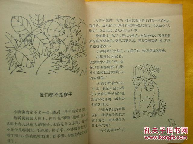 小狒狒历险记
