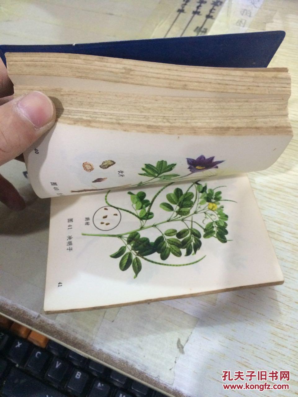 常用中草药图谱彩色图大量药方无毛林题词