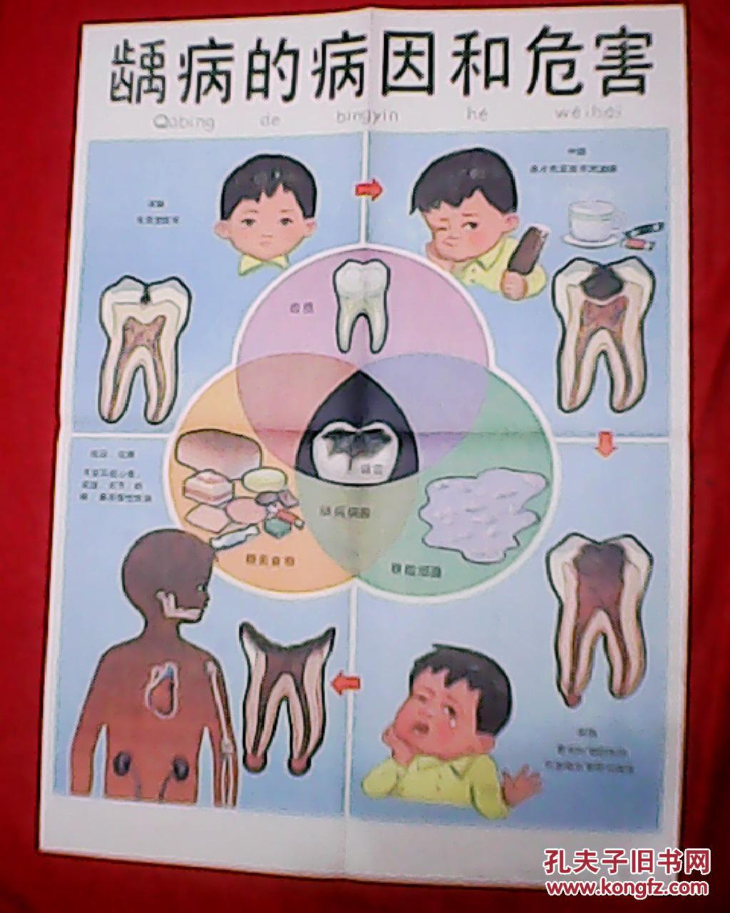 美术家伍炳贤绘画;内容有《牙齿的组成和功能,龋病的病因和危害等)