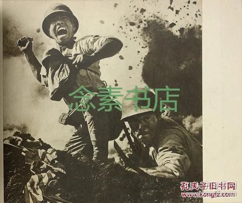 成语血肉横什么_血肉之花(2)