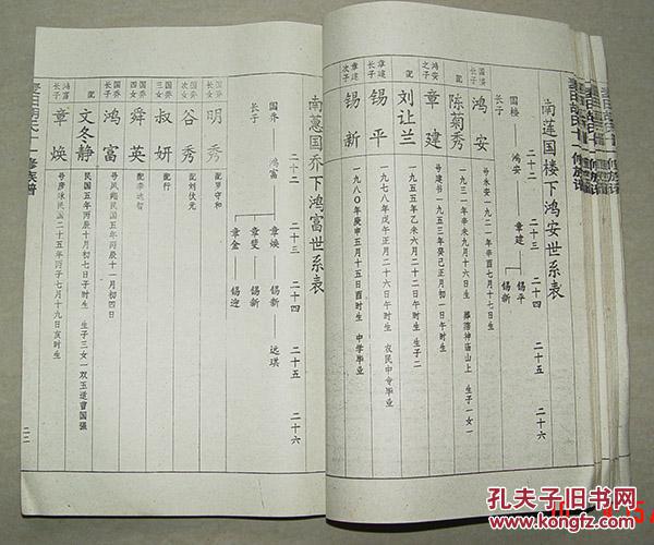 麦田胡氏族谱 麦田胡氏十一修族谱 宗支丹堂公房 麦田