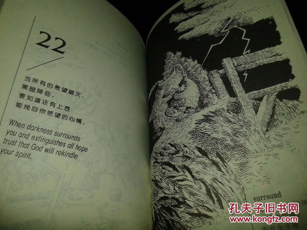宽容简谱_宽容大度的图片(2)