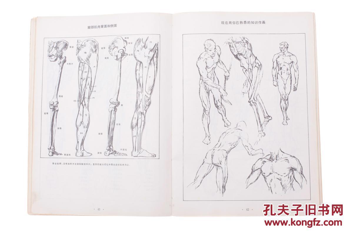 人体素描(包邮)_【美】安德鲁.路米斯_孔夫子旧书网