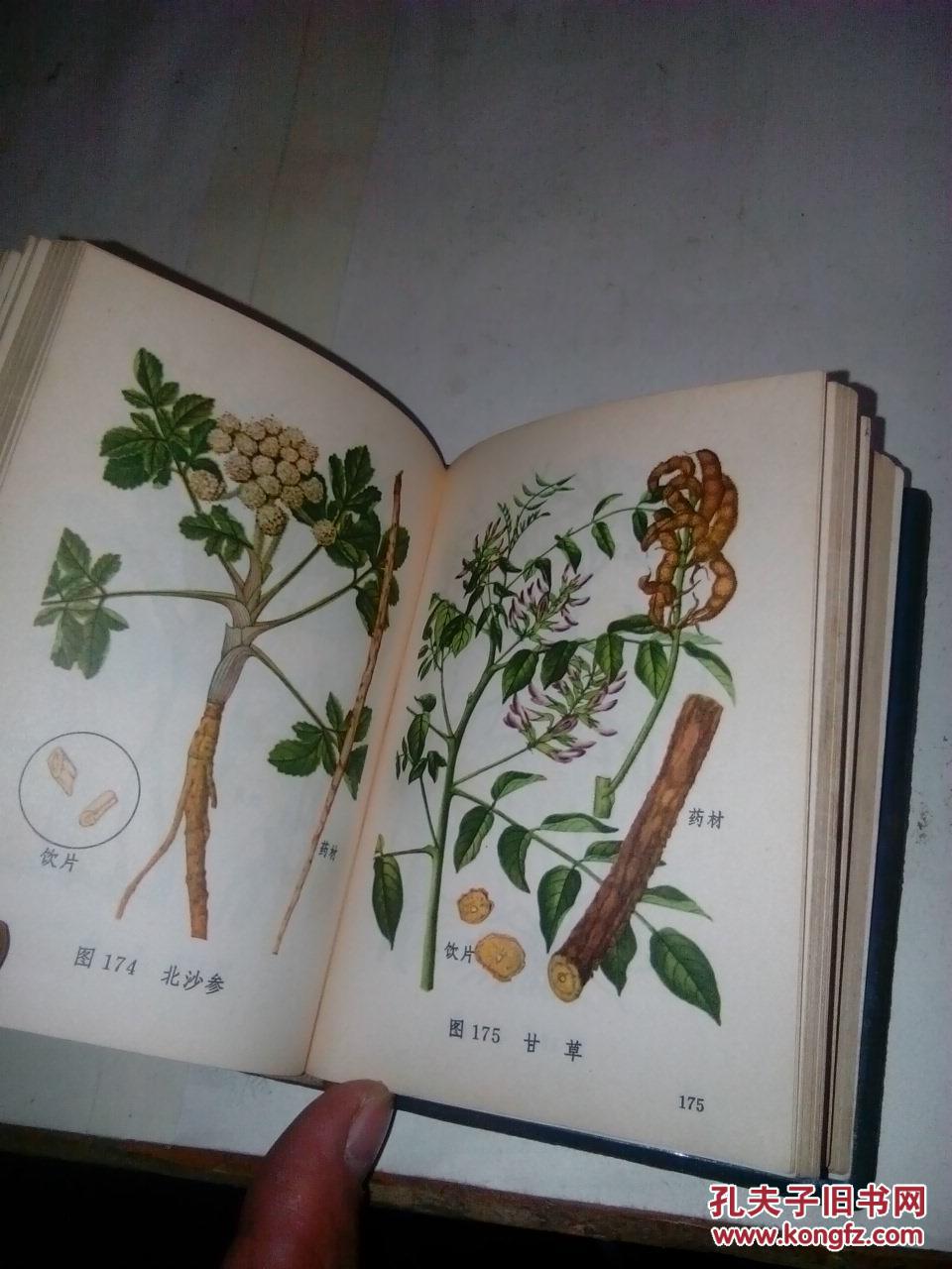 常用中草药图谱 [ 带彩色插图 ]