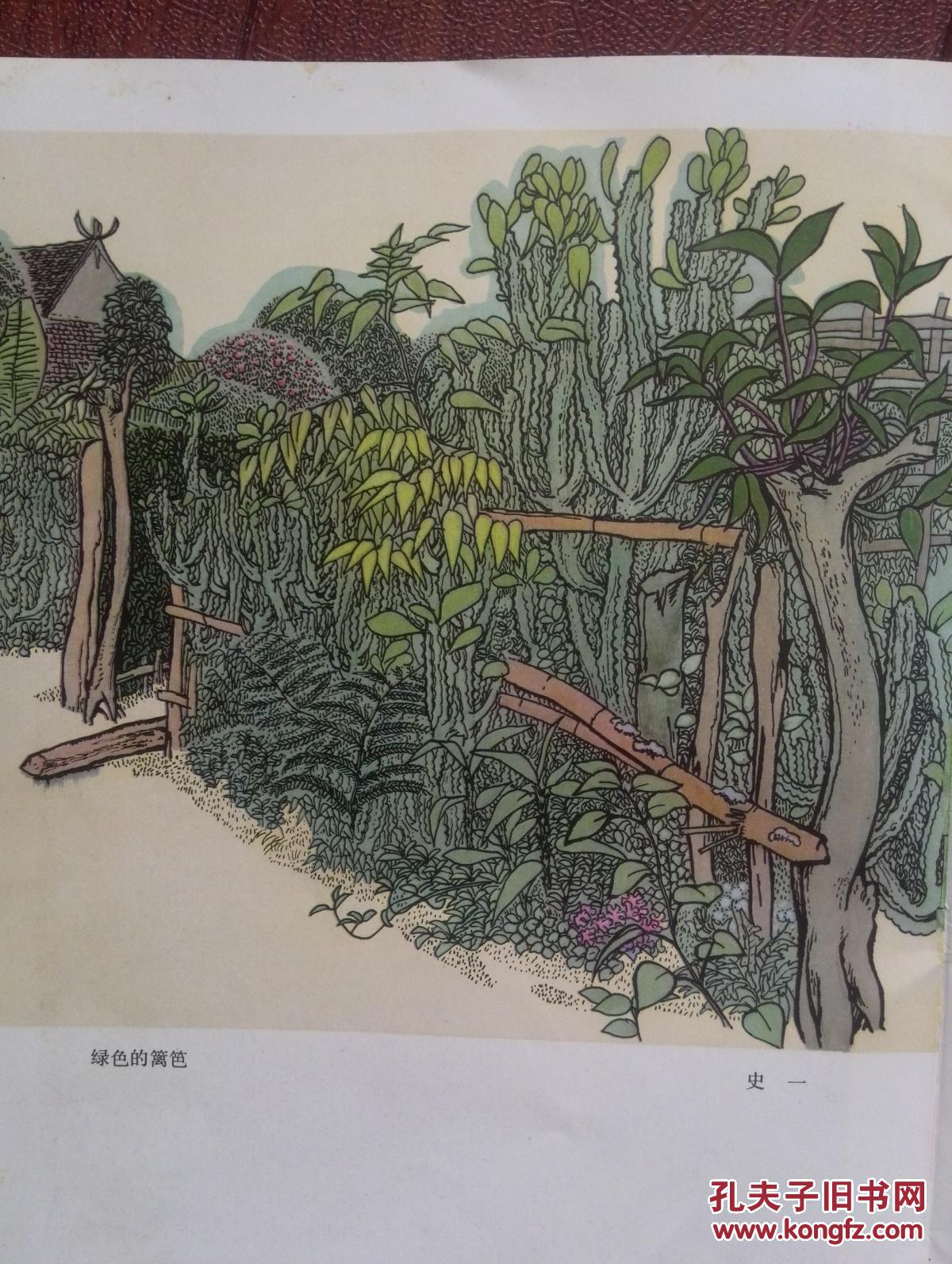 美术插页史一绿色的篱笆林聆傣家竹楼