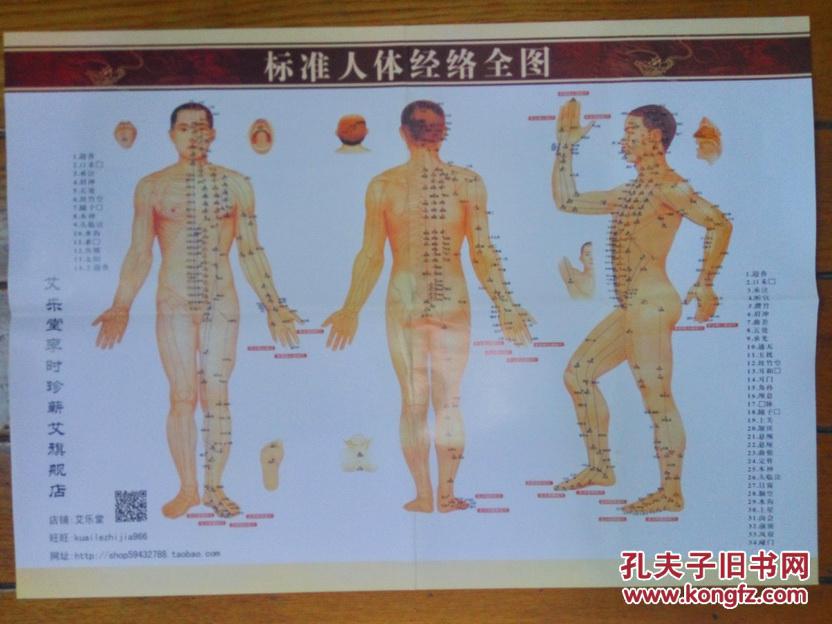 标准人体经络全图(背面附 艾灸穴位保健法) 展开尺寸约:53.5x38cm