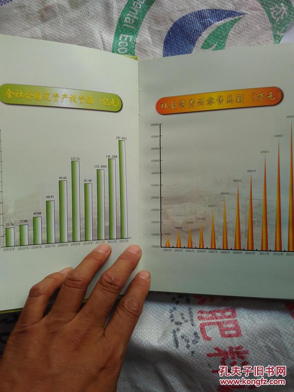 文安gdp_文安智慧新城户型图(2)