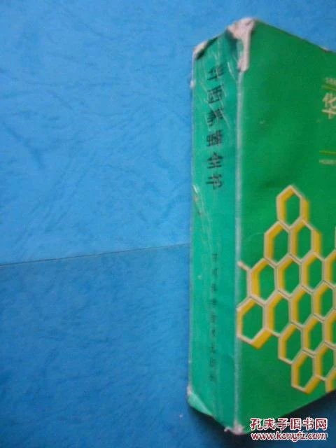 p4YBAFexXQ2AI5FVAAH_i3ODXWw040_b.jpg