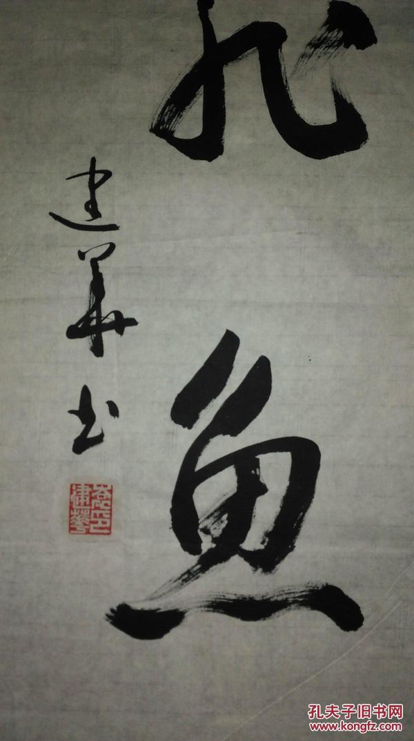 手书宝宝真迹:袁建华《山静书法鸢飞鱼跃》v宝宝龙利鱼水流图片