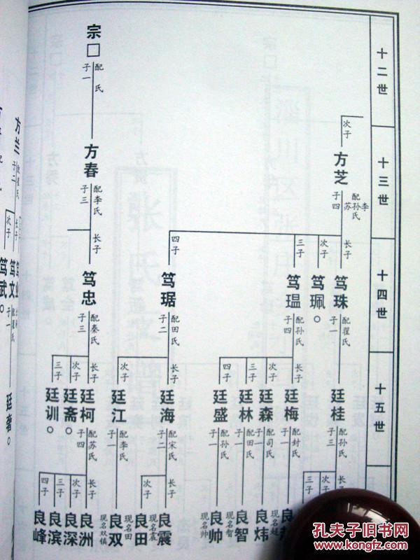山东.淄川.黑旺西南】张氏族谱/本支始祖张现