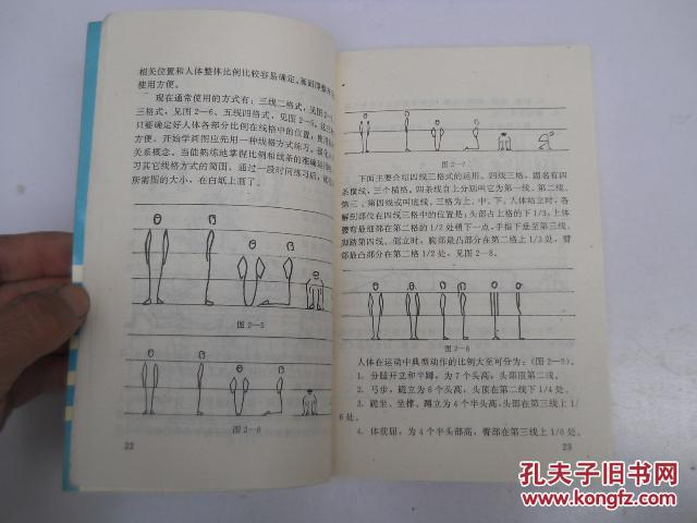 体育绘图