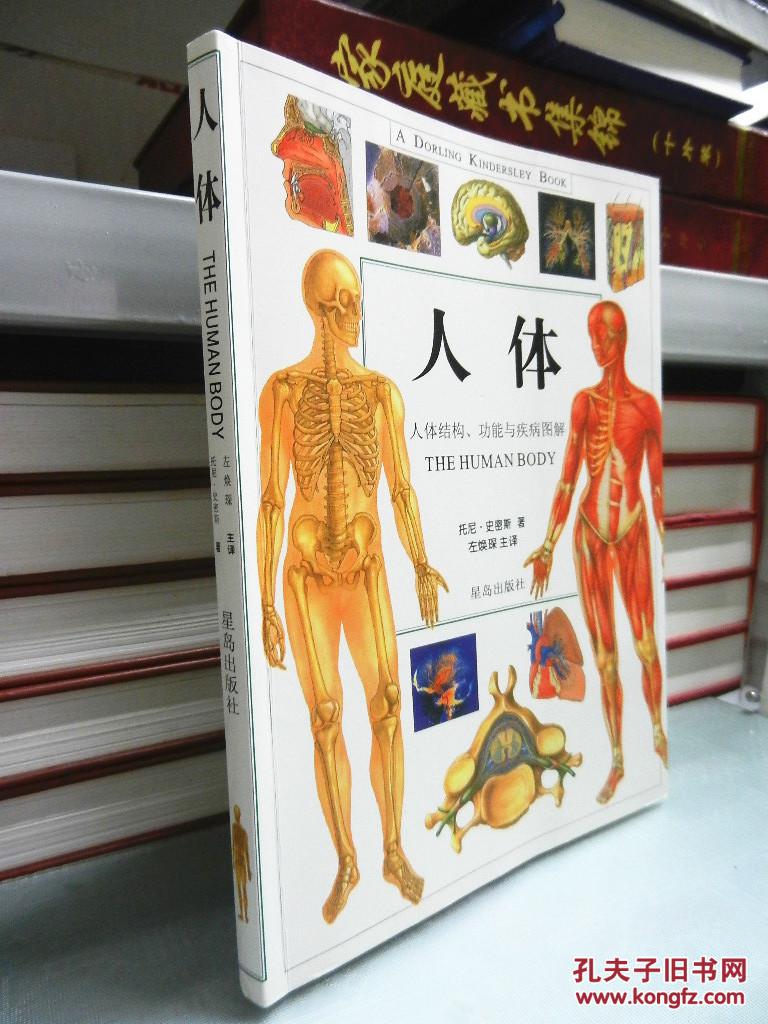 人体:人体结构,功能与疾病图解