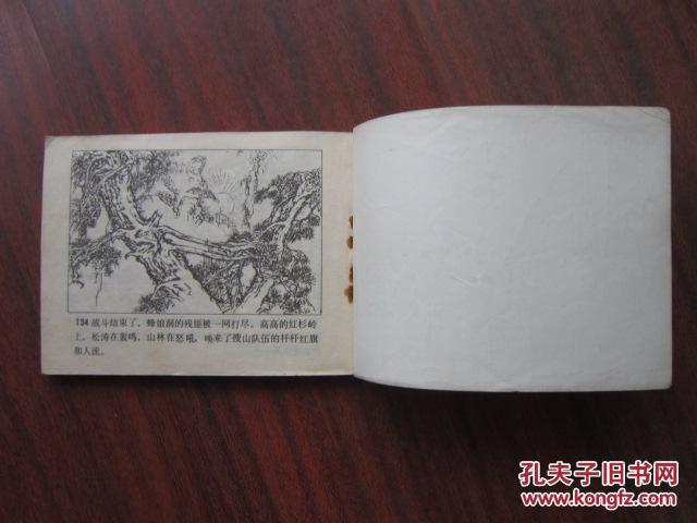 连环画:奇袭蜂娘洞