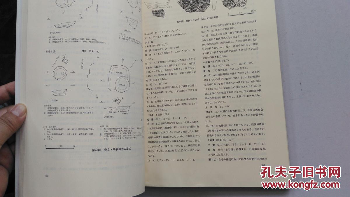 久保简谱_儿歌简谱(2)