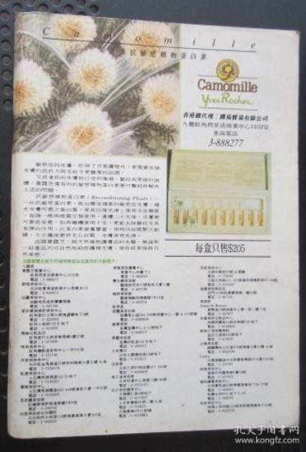 简谱林志美_林志美初恋简谱(3)