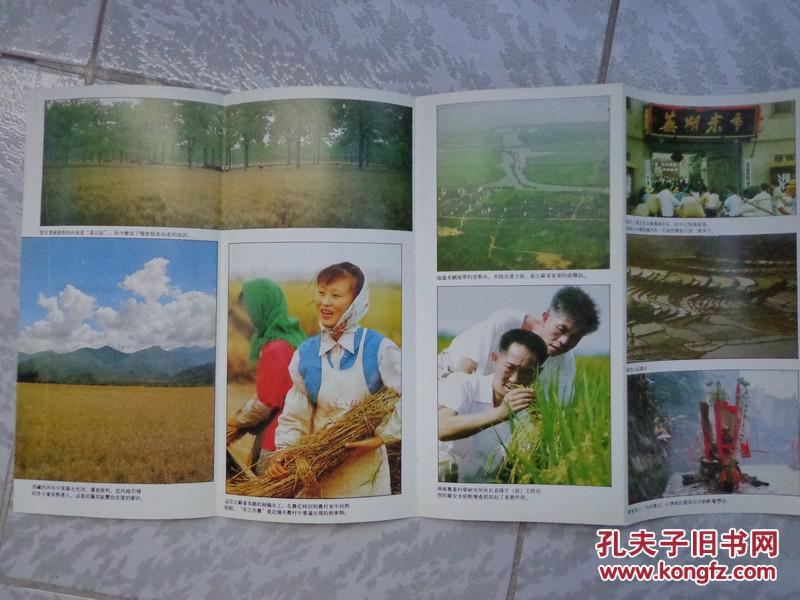 图-5种中国农业专题的中国一瞥画册 1982-97年