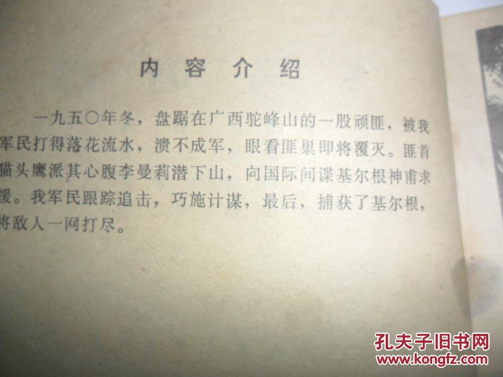 飞马简谱_小飞马