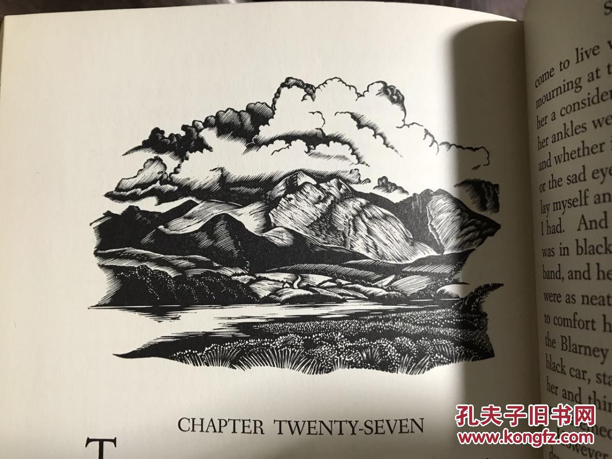 数十幅黑白木刻插画,非常漂亮.