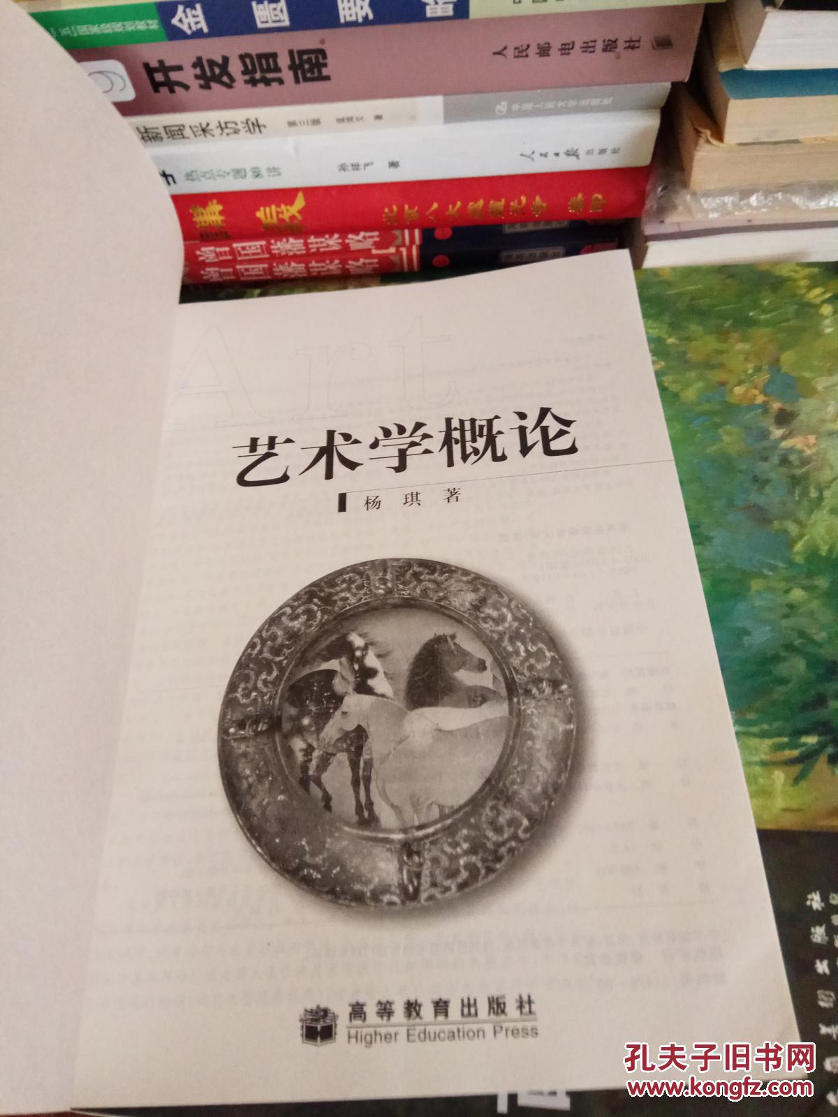 艺术学概论 杨琪 著