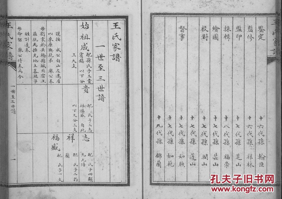 家谱----王氏家谱 【具体见品相描述】 河北东光 成公