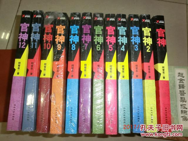 篇官场小说《官神 1-12册全》从基层公务员到