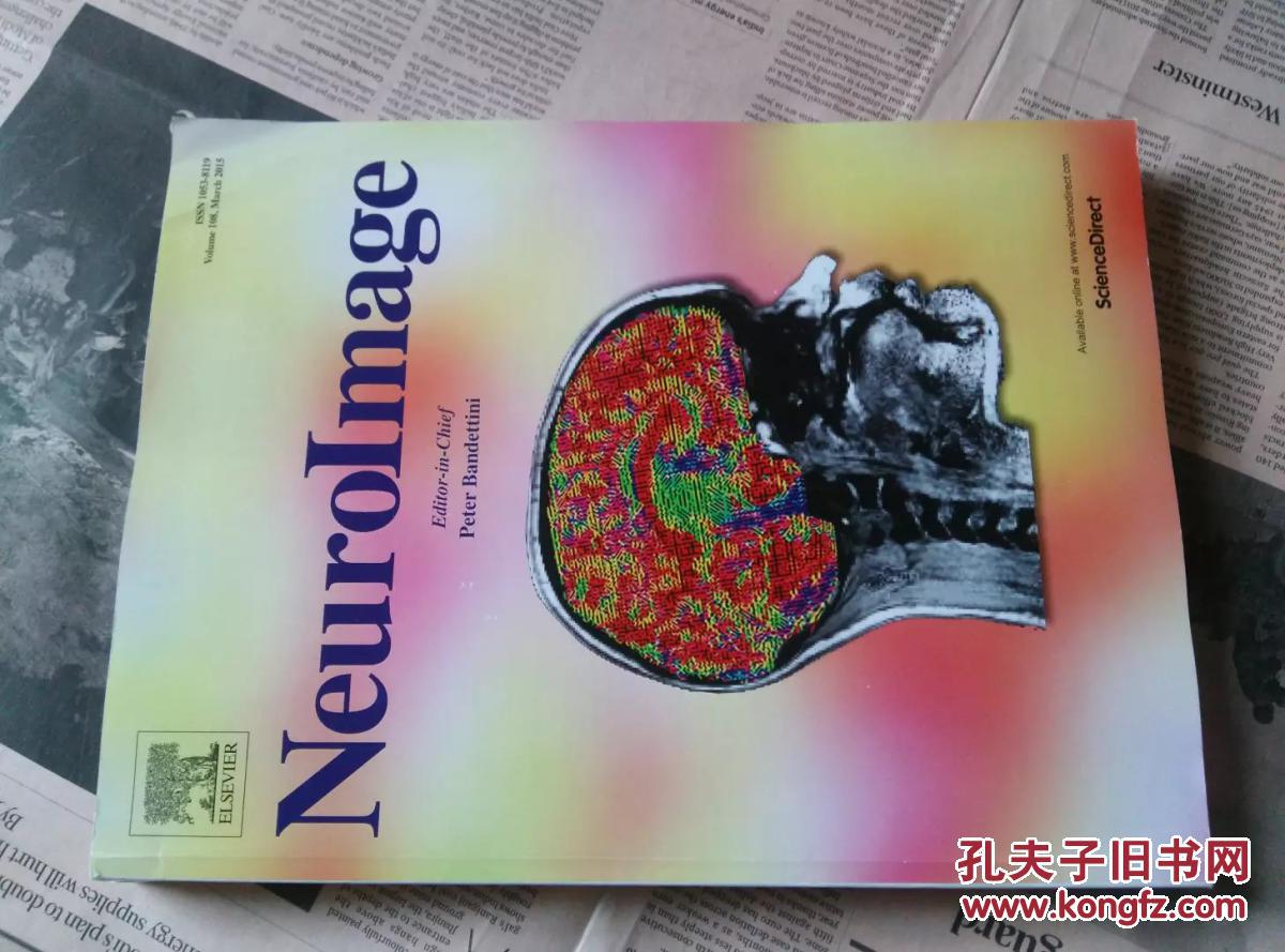 NeuroImage 脑功能神经科学神经影像学科学学
