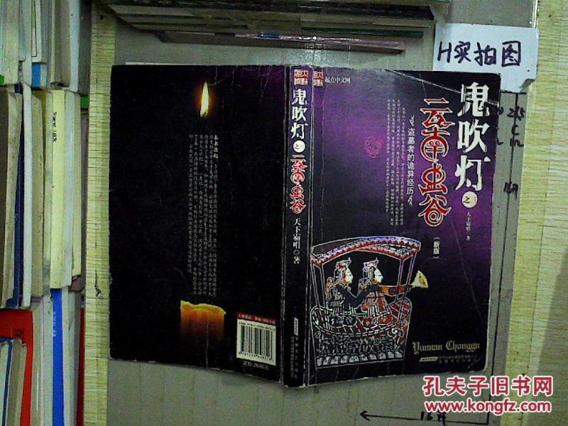 鬼吹灯之3:云南虫谷