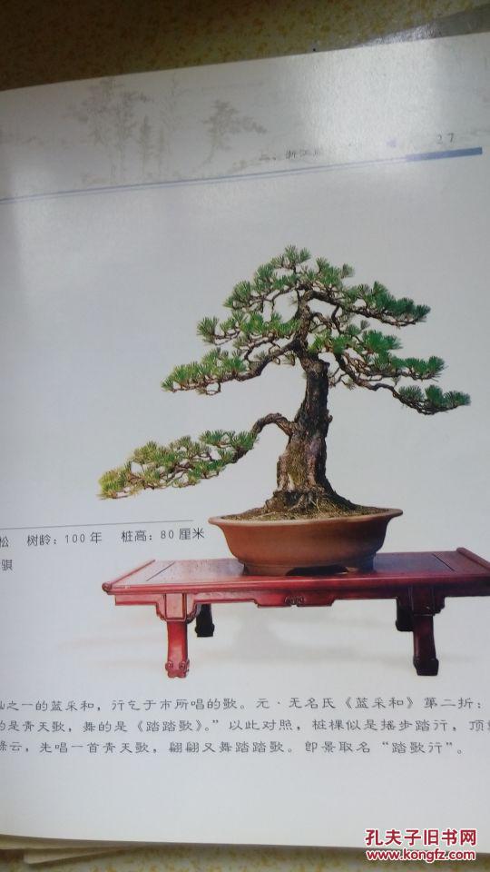 湖北盆景,浙江盆景,福建盆景,安徽盆景,苏州盆景,扬州