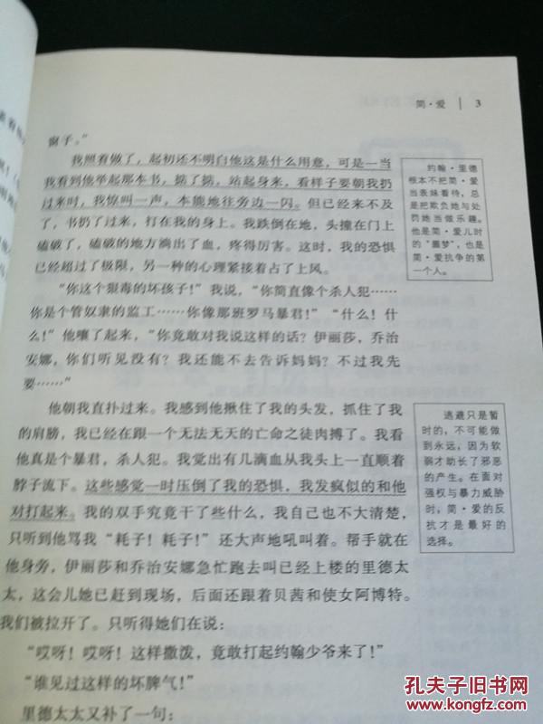 简爱(语文新课标必读丛书,名师伴读版)