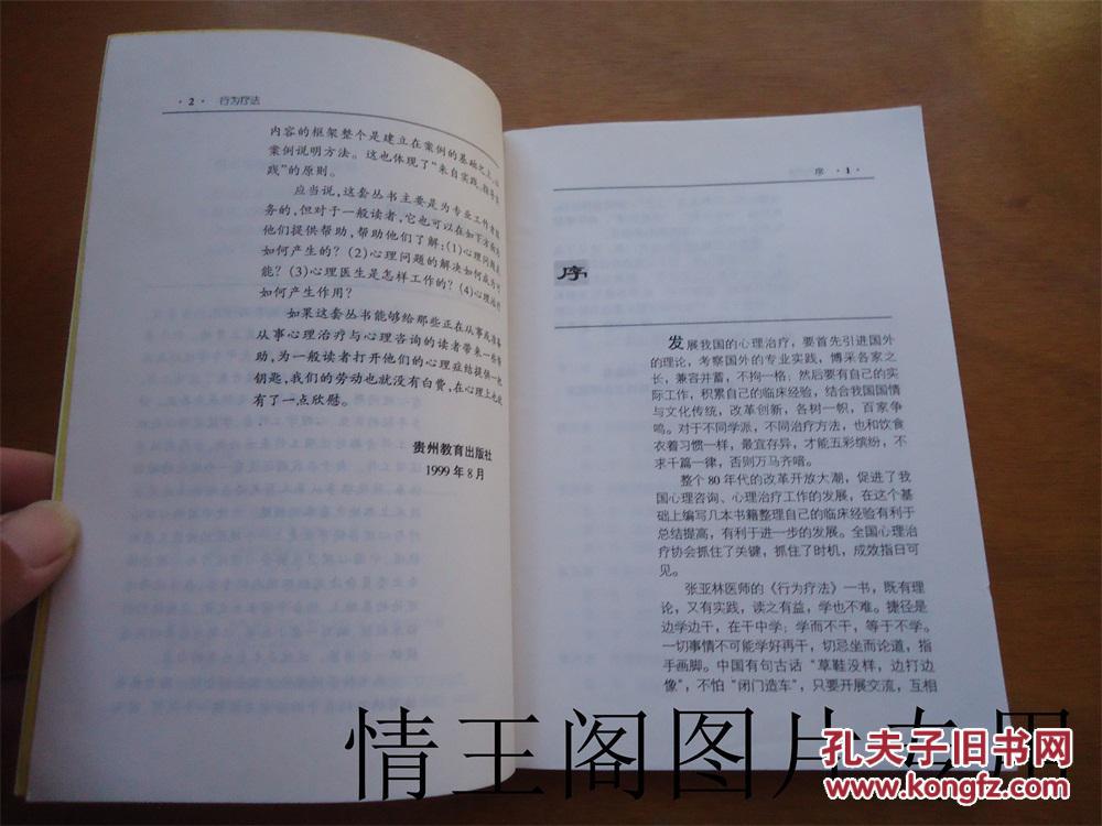 行为疗法:一个行为治疗家的告白(心理治疗与心理咨询丛书)