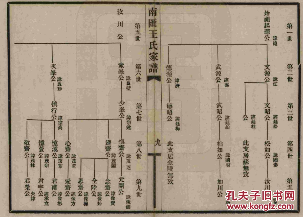 家谱------王氏家谱 上海南汇 起源公支 (起源公 讳昆