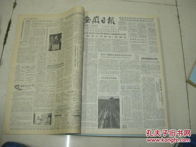 精品报纸合订本:原装《安徽日报-84年6月份合订本》珍贵文献