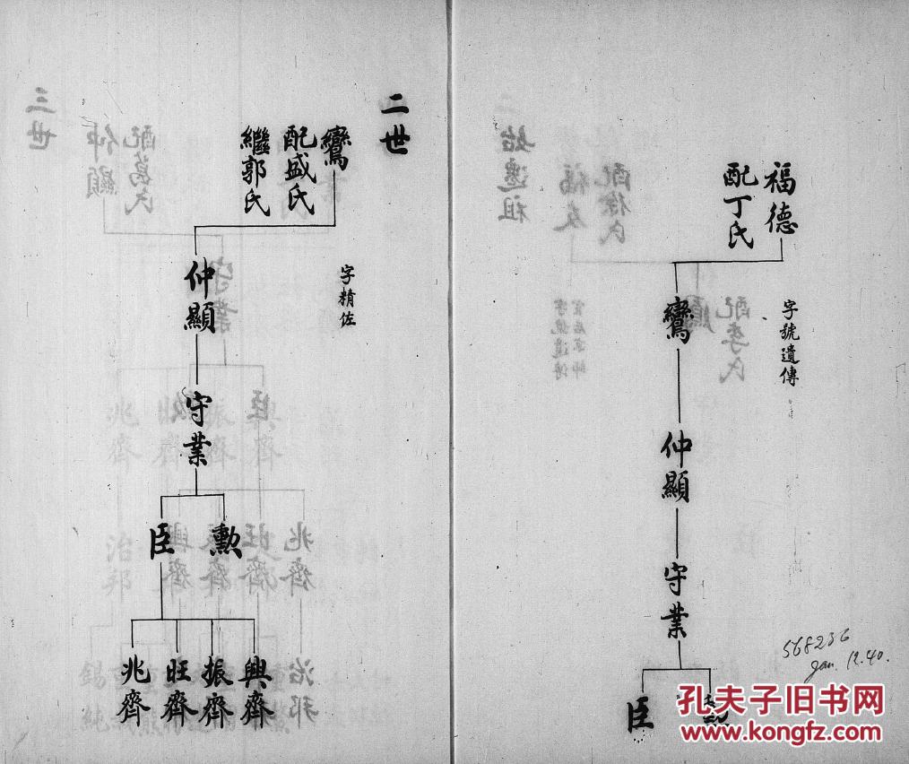 家谱----姜氏家谱 河北青县支 福友公 福德公 六本六卷 16开 365页