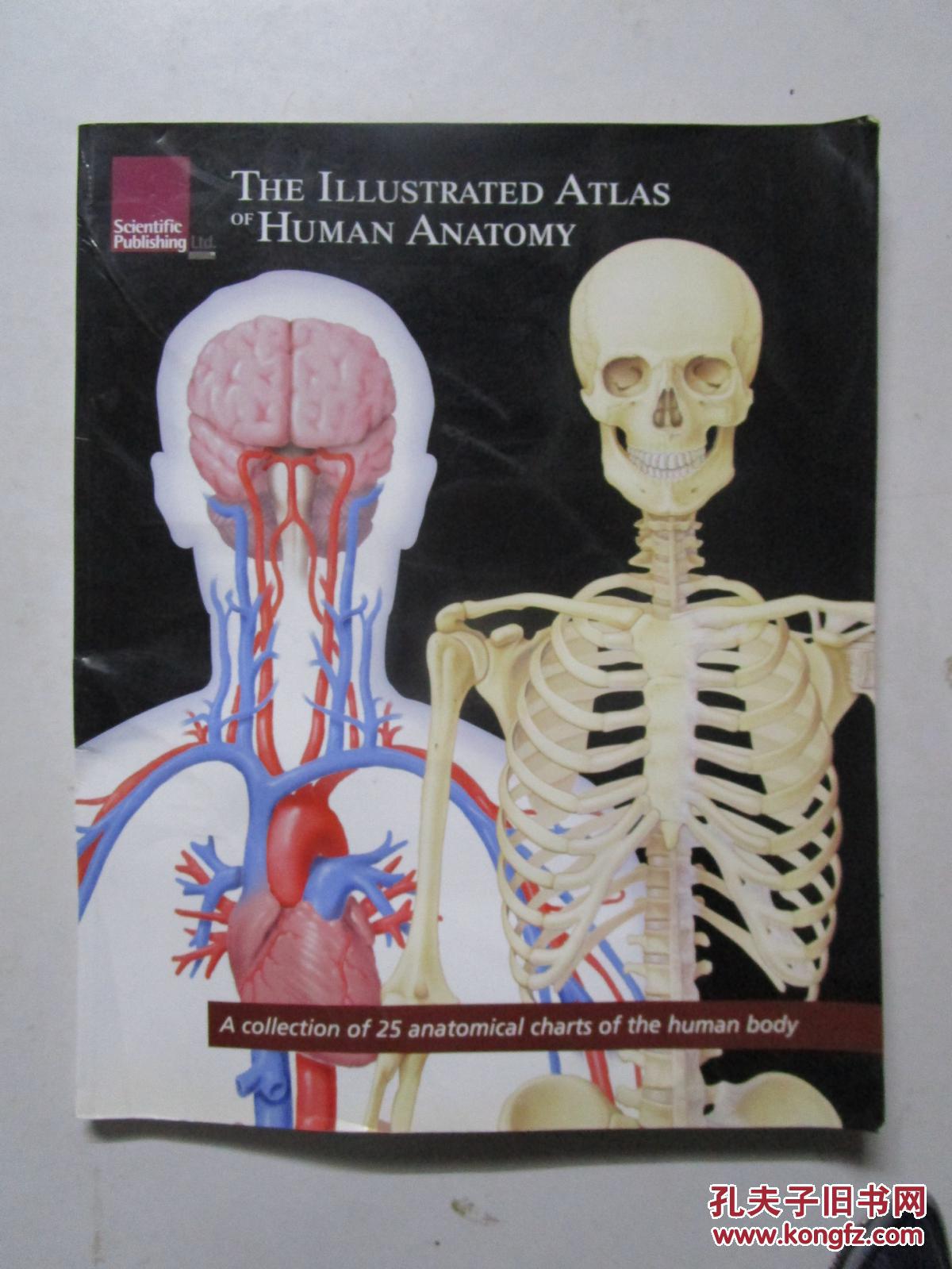 the illustrated atlas of human anatomy (图解人体解剖学阿特拉斯)